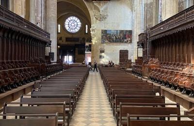 Dambulation commente  la cathdrale Saint-tienne  Toulouse