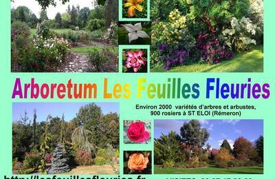 Dcouverte de l'arboretum Les Feuilles Fleuries  Saint Eloi