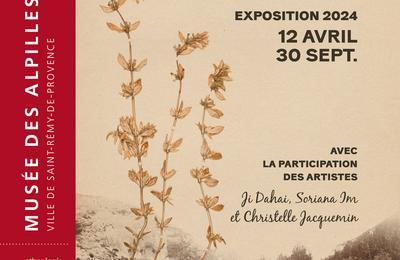 Exposition herbes au bord du chemin, botanique, arts, vertus  Saint Remy de Provence