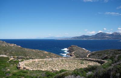 Dcouverte De La Presque-le De La Revellata  Calvi