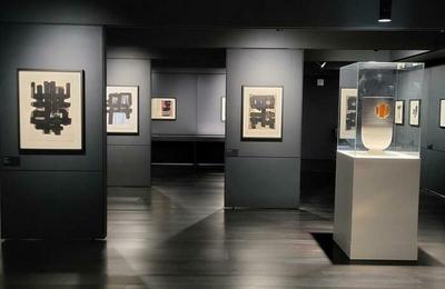 Dcouverte des collections et de l'exposition temporaire  Rodez