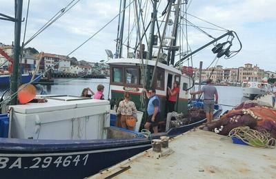 Dcouverte du bateau de pche Airosa  Saint Jean de Luz