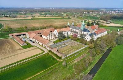 Dcouverte du patrimoine agricole d'une abbaye lors d'une visite commente  Reiningue