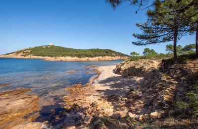 Dcouverte du sentier du littoral de Pinareddu  Zonza