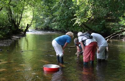 Dcouvrez l'orpaillage en rivire !  Le Chalard