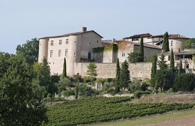 Découvrez Le Château Et Ses Jardins Lors D'une Visite Libre à Lautrec