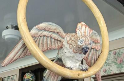 Dcouvrez le mobilier d'une confiserie emblmatique  Nancy