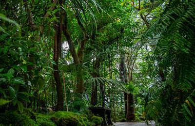 Dcouverte du Jardin botanique Jean Marie Pelt  Villers les Nancy