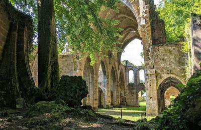 Dcouvrez une ancienne abbaye cistercienne, entre nature et vestiges, lors d'une visite guide  Trois Fontaines l'Abbaye
