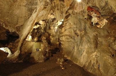 Dcouvrez une grotte originale lors d'une visite commente  Fromelennes