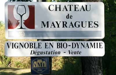 Dgustation des vins du domaine en biodynamie  Castelnau de Montmiral