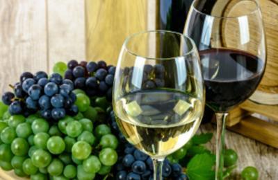 Dégustations De Vins Du Terroir à Bergerac