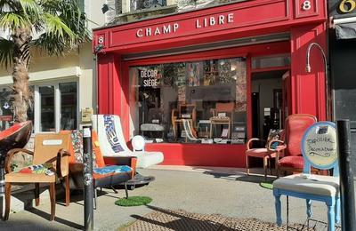 Dmonstration : rencontre et change avec un tapissier dcorateur  Cherbourg-en-Cotentin