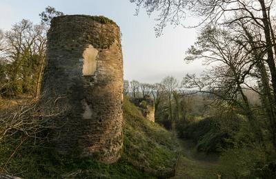 Dire et comprendre une forteresse mdivale  Saint-Thgonnec Loc-Eguiner