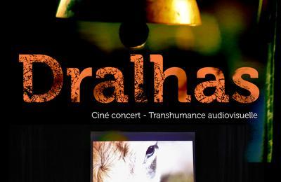 Dralhas-Transhumance audiovisuelle  Mane