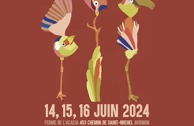 Drles d'oiseaux  Festival de chanson  plume 2025