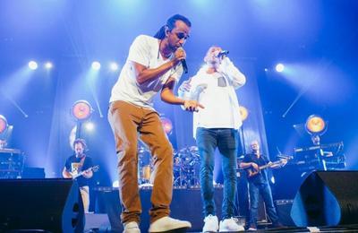 Dub Inc  Grenoble