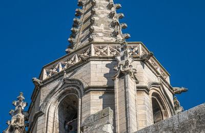 Explorez l'histoire de l'glise Saint-Paul lors d'une visite commente  Beaucaire