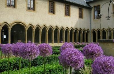 Explorez le monde des plantes mdicinales  Metz