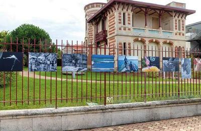 Exposition de photographies  Lacanau