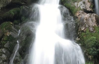 Exposition Eaux vives, torrents et cascades de montagne  Talence