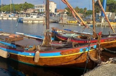 Exposition et animations Autour du Pointu  La Londe les Maures