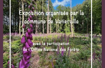 Exposition : la fort en patrimoine, aux portes de Vatierville