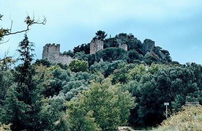 Exposition  Le Chteau D'hyres : Du Chteau Seigneurial  La Forteresse Royale De La Fin Du Xiiie Sicle   Toulon