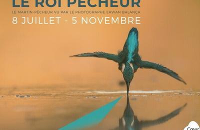 Exposition « Le Roi Pêcheur » à Pouilly sur Loire