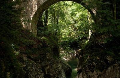 Les Ponts en Chartreuse, Une Histoire de Passage et de Patrimoine  Saint Laurent du Pont
