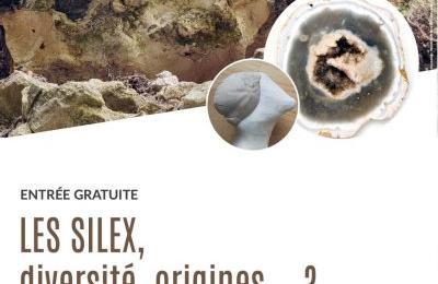 Les Silex, Diversit, Origines...  Sainte Savine