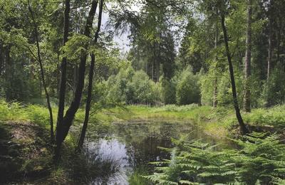 Exposition : mares de Normandie  Le Petit Quevilly