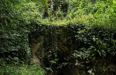 ExpositionLa Sauve Majeure au fil de l'eau