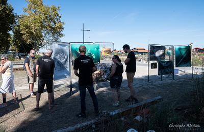 Exposition : Les blockhaus engloutis du Pyla  La Teste de Buch