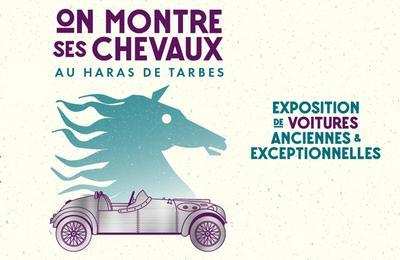 Exposition On montre ses chevaux  Tarbes