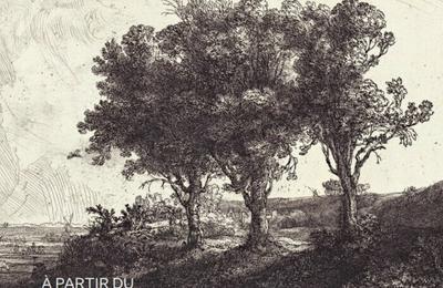 Exposition paysages au cabinet Rembrandt à Grenoble