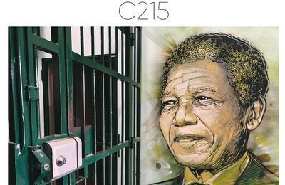 Exposition priscope par c215  Toulouse
