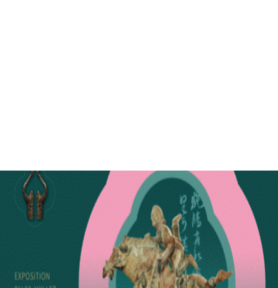 Exposition sur la Culture Sportive de la Chine  Paris 11me