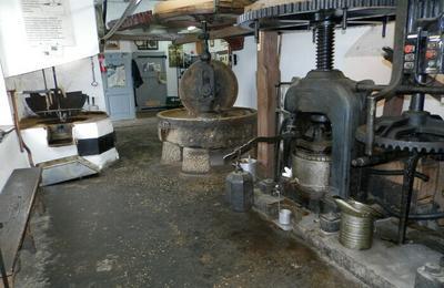 Visite commente sur la fabrication des diffrentes huiles : noix et noisettes  Neuville sur Ain