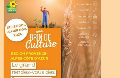 Festival Brin de Culture 2025