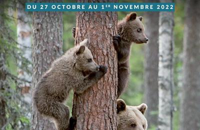 Festival de Mnigoute 2023