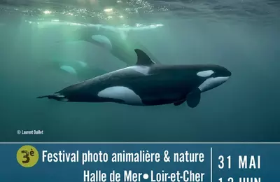 Festival de photo Mer'veilles nature 2024