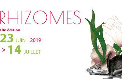 Festival Rhizomes |  Dafn Kritharas |  Paris 18me