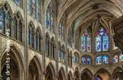Grand Recital  Trompette  & Orgue Splendeurs De La Musique B  Paris 5me