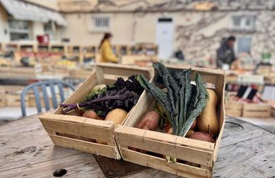 Gros march d'automne par Terre de Mars  L'Epope  Marseille