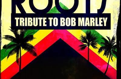 Happy roots, tribute to Bob Marley à Saint Vallier de Thiey