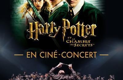 Harry Potter Et La Chambre Des Secrets à Floirac