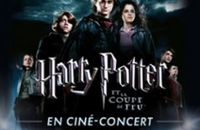 Harry Potter et la Coupe de Feu en Cin-Concert  Toulouse