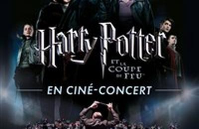 Harry Potter et la coupe de Feu en cin-concert  Toulouse