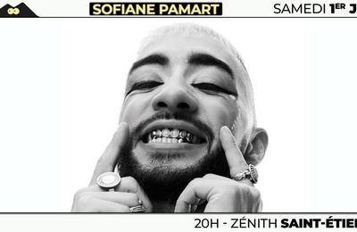 Sofiane Pamart et Nach  Saint Etienne